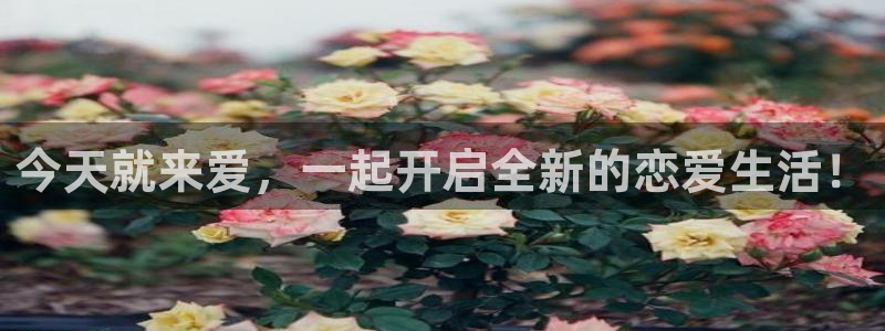 羞羞漫画免费完整版