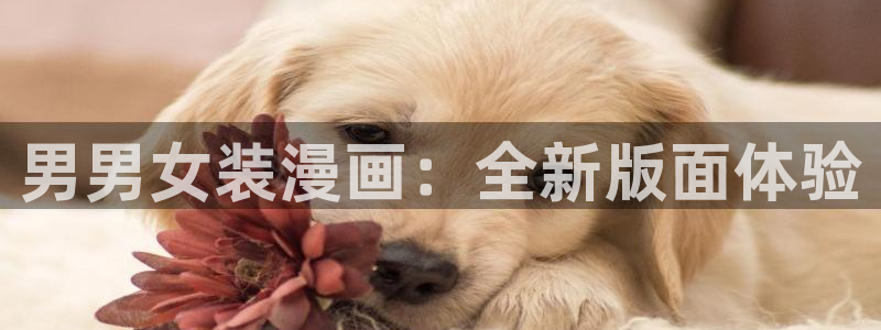 免费在线看羞羞漫画