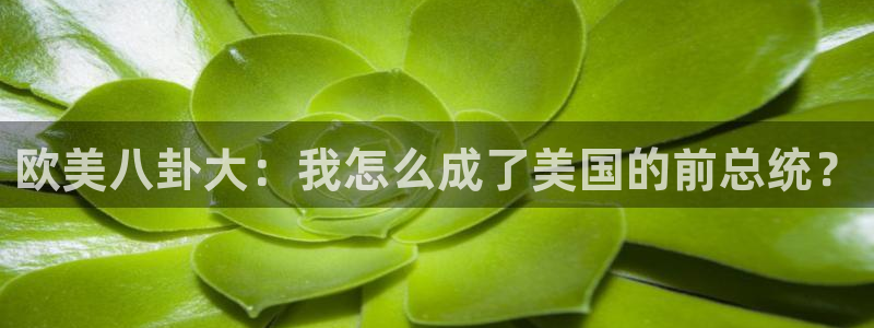 羞羞漫画无删减在线免费观看
