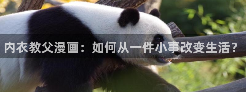 羞羞漫画www在线