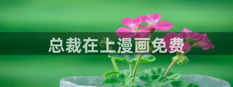 好看的韩漫画羞羞漫画免费观看