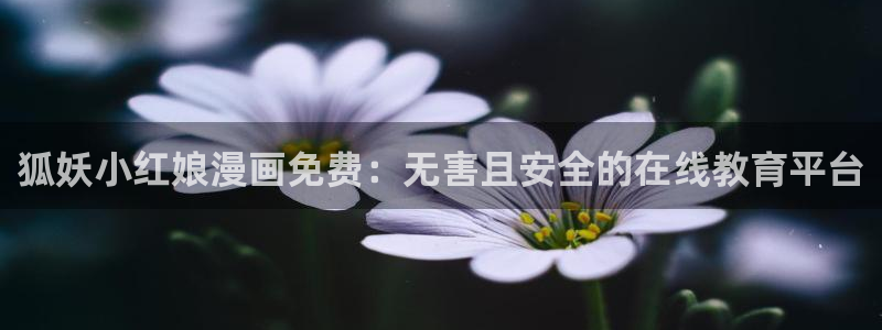 韩国十九禁羞羞漫画