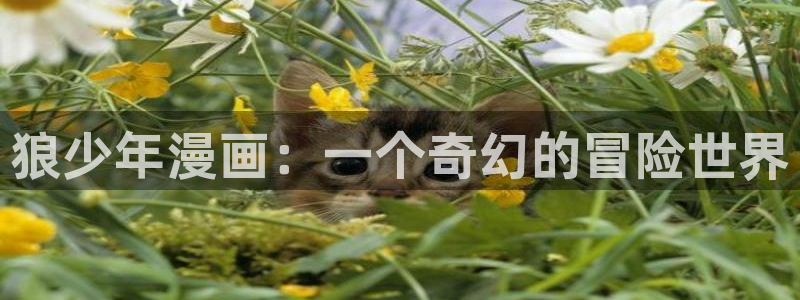 羞羞漫画的首页入口