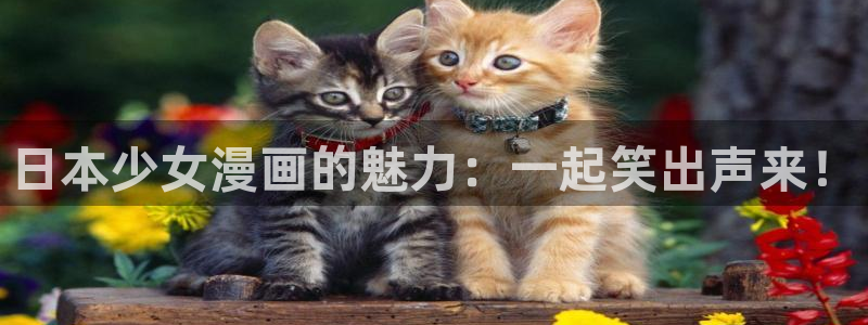 羞羞漫画体育
