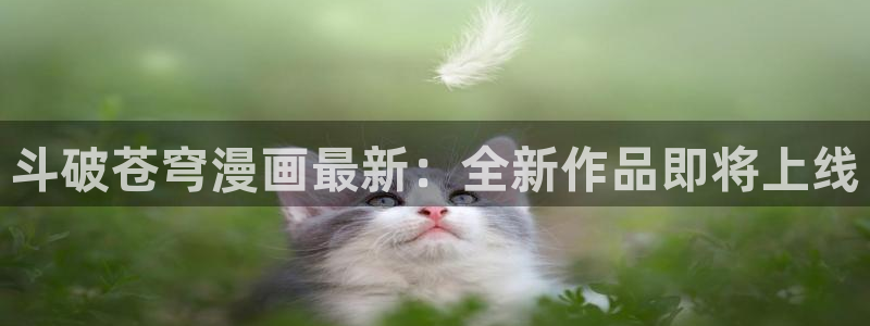羞羞漫画秋婵：斗破苍穹漫画最新：全新作品即将上线